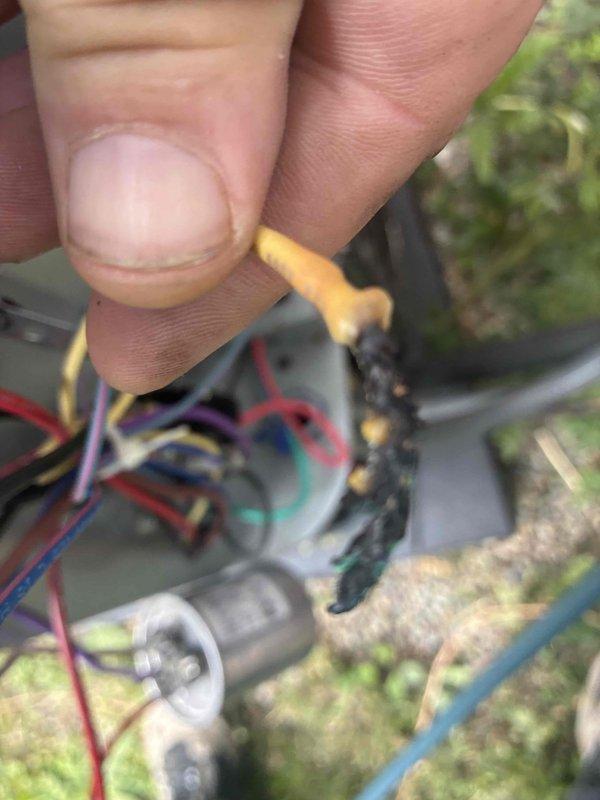 Responded to no-cooling complaint on residential air conditioning unit. Upon inspection, found failed dual run capacitor with visible burn damage and charred wire connections. Removed defective capacitor, cleaned wire terminals, and installed new replacement capacitor with proper electrical connections. Verified system operation and restored cooling functionality.