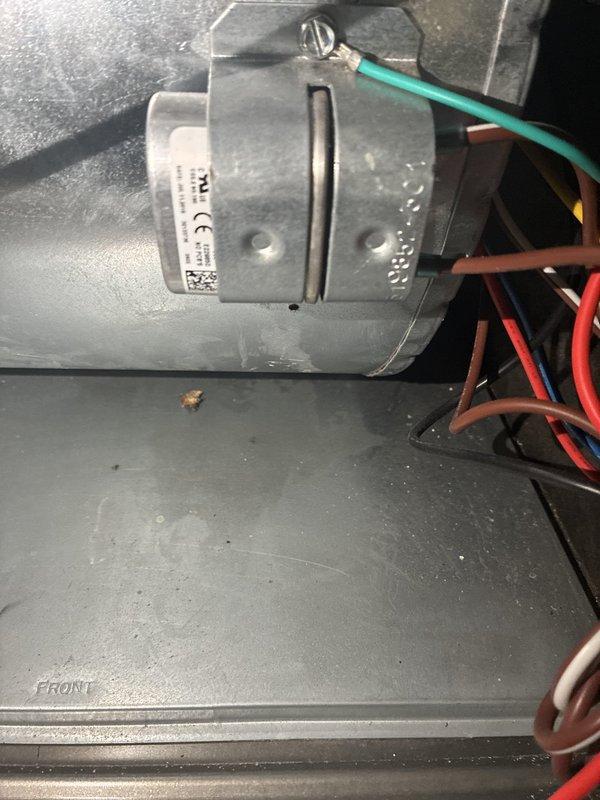 Completed comprehensive cooling system tune-up on Carrier furnace/air handler unit. Performed standard maintenance inspection including motor actuator examination, electrical connections verification, and ductwork assessment. All components found operating within normal parameters with no issues requiring immediate attention.