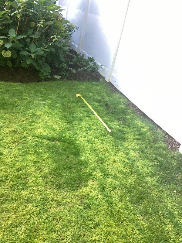 Conducted on-site electrical estimate for residential generator installation in backyard location. Evaluated and documented proposed installation area adjacent to building exterior, measuring and photographing the designated space on lawn near white exterior wall with adequate clearance from landscaping and garden beds. Assessment included verification of access routes, proximity to electrical service entrance, and suitable placement for code-compliant generator pad installation with proper setback requirements from structure and property boundaries.
