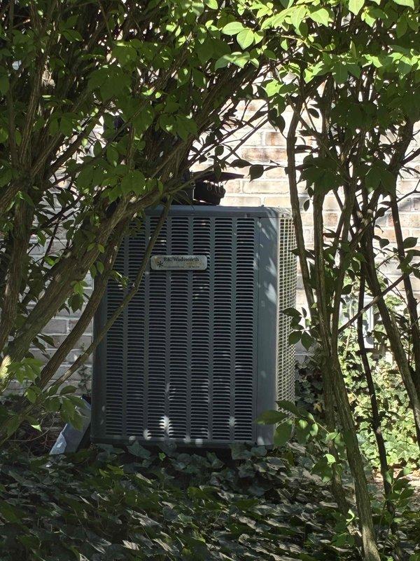 Responded to service call for non-operational air conditioning unit serving bonus room. Upon arrival, located outdoor condenser unit heavily obscured by overgrown vegetation against building exterior. Accessed electrical compartment and inspected control wiring, connections, and internal components. Documented unit condition with equipment age unknown, while two other AC systems on property remained fully functional.
