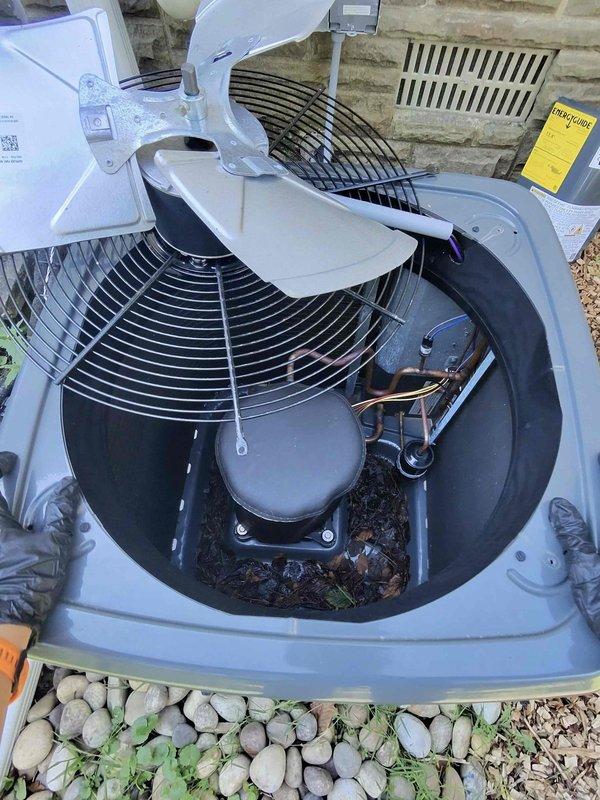 # HVAC Cooling Maintenance Completed

Performed comprehensive preventive maintenance on outdoor condensing unit as part of scheduled cooling system service. Upon arrival, opened and inspected condenser unit, revealing significant accumulation of organic debris including leaves, twigs, and decomposed plant material in the base compartment. Removed all debris from unit interior to restore proper airflow and prevent potential drainage issues or component damage.

Conducted thorough electrical diagnostics using testing equipment to verify compressor operation, fan motor function, and overall system performance. Inspected internal components including compressor, fan assembly, electrical wiring, and refrigerant lines for signs of wear or damage. All electrical connections found secure with no visible deterioration. Copper refrigerant tubing showed no signs of corrosion or leaks.

Verified proper fan operation and motor function on both main condenser fan and internal circulation components.