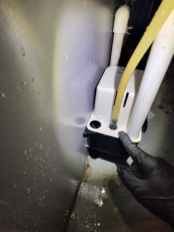 # Condensate Drain Pump Water Leak Repair

Responded to water leak in residential utility area caused by malfunctioning condensate drain pump. Upon arrival, found active water pooling on concrete floor surrounding pump assembly with visible moisture damage on adjacent wall surfaces. 

Diagnosed failed condensate pump unable to properly evacuate water from HVAC system, resulting in overflow condition. Inspected existing white PVC drainage piping configuration with red valve assembly and verified proper downstream drainage pathway. Examined electrical connections and flexible discharge hose for blockages or disconnections.

Replaced defective condensate pump unit with new assembly to restore proper water removal function. Reconnected black flexible discharge hose and white PVC intake piping to new pump housing. Verified pump motor operation and confirmed proper cycling when water level activated float switch. Tested system under load to ensure adequate pumping capacity and no leakage at 