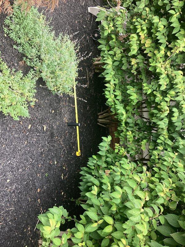 Conducted comprehensive site assessment for 12kW standby generator installation. Evaluated existing natural gas service connection, measured installation clearances from structure and landscaping, and documented foundation access points and utility routing pathways for electrical and fuel line connections.