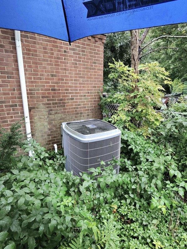 Responded to no cooling call at residential property. Upon arrival, found outdoor condenser unit heavily overgrown with vegetation restricting airflow. Removed access panel and performed system inspection. Identified non-functional compressor and contactor requiring replacement. Cleared vegetation from around unit to restore proper airflow and accessibility for service. System evaluated and customer advised of necessary repairs to restore cooling operation.