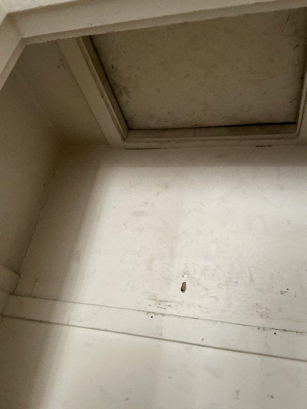 Completed HVAC system replacement with installation of new TruClimate air handler unit in attic space. Unit was properly positioned on platform with refrigerant lines and electrical conduits connected, and access panel installed in wall for future service accessibility.