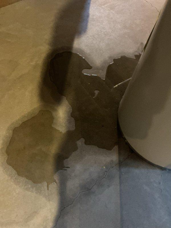 Responded to service call for leaking hot water tank. Upon arrival, inspected the tanked water heater and surrounding area in basement utility space. Confirmed active leak with visible water damage on concrete floor beneath unit. Documented copper supply piping, brass fittings, and flexible conduit connections. Assessed extent of water accumulation on floor and verified leak source from water heater tank. Collected diagnostic fee and photographed conditions for service documentation.