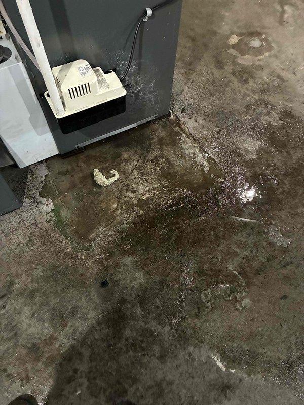 Performed routine heating system maintenance and inspection. Upon arrival, discovered significant water accumulation on concrete floor surrounding HVAC equipment, indicating active condensate drainage issue from heating unit. Inspected internal heating components including heat exchanger coils, condensate piping system, brass valve connections, and electrical wiring. Documented extensive water damage and staining on floor surface requiring attention to prevent equipment corrosion and potential system failure. System operational at time of inspection but condensate management requires follow-up repair to address drainage problems.