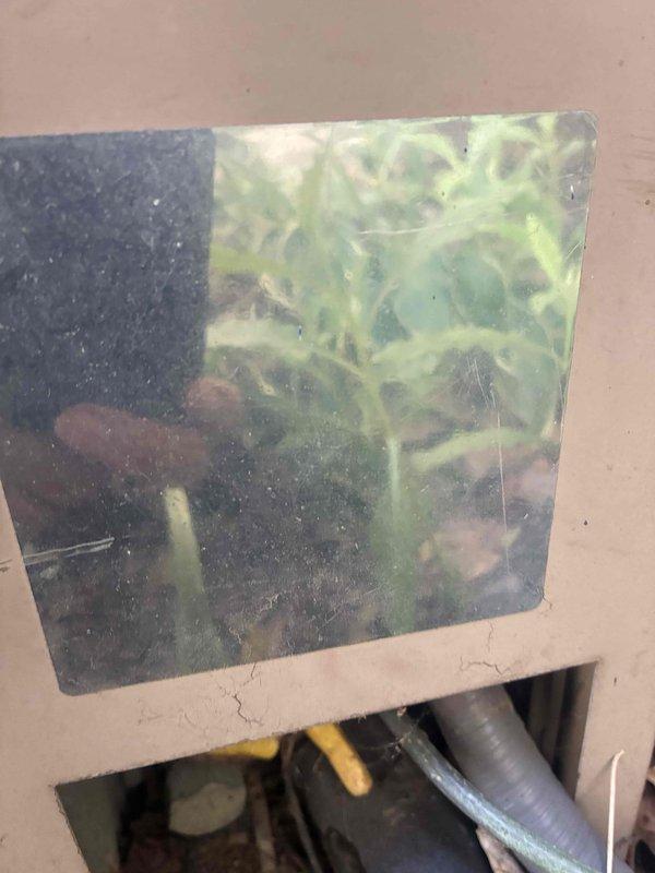 Responded to no cooling complaint at residential property. Upon arrival, accessed HVAC system through side entrance as requested and conducted diagnostic evaluation of heating and cooling equipment. Inspected furnace, ductwork, and air handler assembly in mechanical room. System components showed signs of normal wear but no immediate visible damage to primary equipment. Documented existing conditions of HVAC installation including main supply ductwork, exhaust piping, and air handler configuration. Assessed airflow pathways and ventilation system integrity. Customer reported complete loss of cooling function requiring further diagnostic testing to identify root cause of system failure.