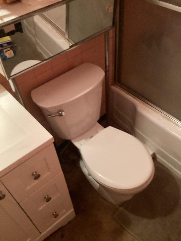 Installed American Standard Cadet round front toilet with supply line in residential bathroom. Removed existing fixture, set new toilet with proper wax ring seal, connected water supply, and tested for leaks and proper operation to ensure code-compliant installation.