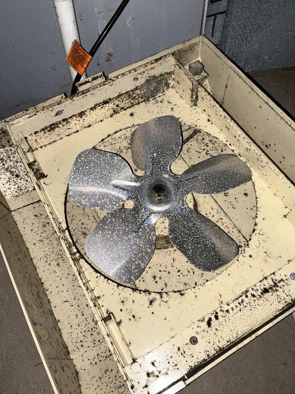 Conducted comprehensive HVAC system evaluation for aging equipment replacement estimate. Assessed existing gray furnace unit in basement mechanical room, documenting current condition including manufacturer specifications, PVC venting configuration, and ductwork connections. Inspected outdoor condensing unit, noting significant dirt and debris accumulation on fan assembly and housing, indicating extended service life without maintenance. Evaluated complete heating and cooling system infrastructure including supply and return ductwork, electrical connections, and gas piping. Photographed all equipment for proposal documentation. Discussed water heater inspection requirements with customer as part of overall mechanical system assessment. Prepared detailed replacement recommendations for complete HVAC system upgrade.