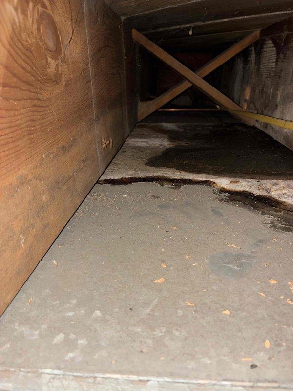 Responded to customer report of water leaking from ductwork in attic space. Upon inspection, observed moisture staining and discoloration on attic floor surfaces near ductwork area, indicating active or recent water intrusion. Documented conditions with photos showing affected areas and structural components for follow-up assessment and repair recommendations.