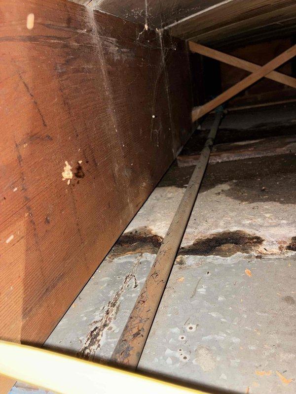 Responded to customer report of water leaking from ductwork in attic space. Upon inspection, observed moisture staining and discoloration on attic floor surfaces near ductwork area, indicating active or recent water intrusion. Documented conditions with photos showing affected areas and structural components for follow-up assessment and repair recommendations.