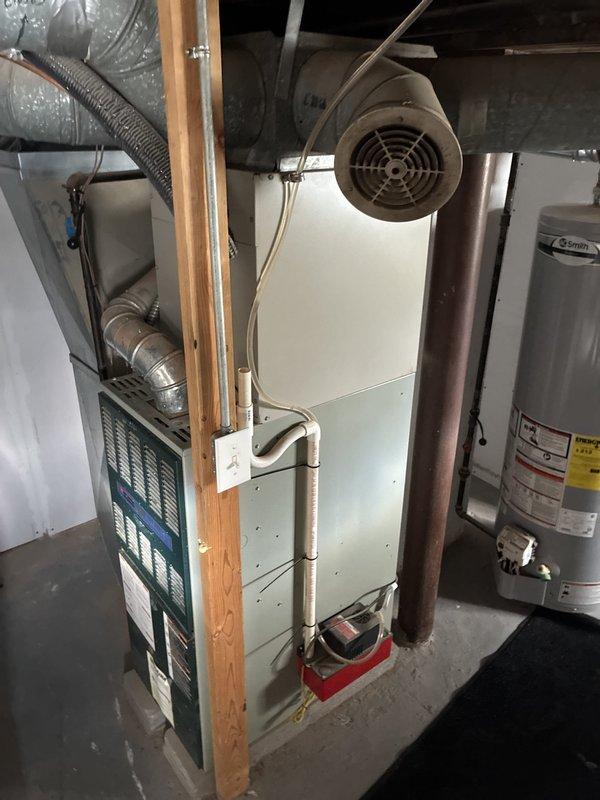Conducted furnace replacement estimate for 30-year-old unit located in basement utility area. Assessed existing vertical furnace configuration with integrated blower motor housing, evaluated ductwork connections including flexible metallic ducting, and documented electrical service panel and utility infrastructure. Photographed current equipment positioning adjacent to water heater, noted PVC venting system, and reviewed structural framing requirements for replacement installation. Conducted furnace replacement estimate for 30-year-old unit located in basement utility area. Assessed existing vertical furnace configuration with integrated blower motor housing, evaluated ductwork connections including flexible metallic ducting, and documented electrical service panel and utility infrastructure. Photographed current equipment positioning adjacent to water heater, noted PVC venting system, and reviewed structural framing requirements for replacement installation.