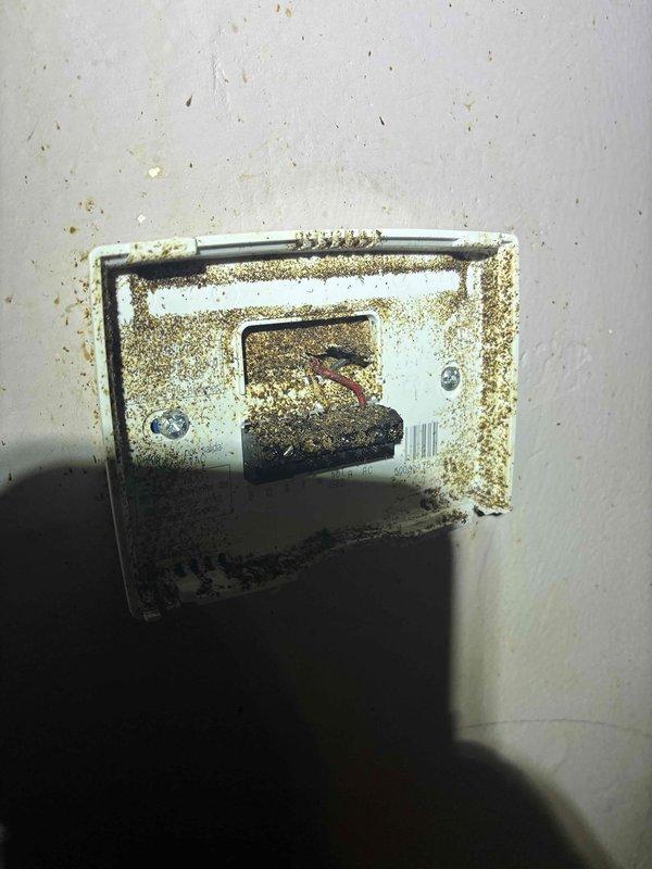 Responded to no heat call where thermostat was not communicating with furnace. Upon inspection, found wall-mounted thermostat with severe dust and debris accumulation on exterior housing and internal components. Removed thermostat cover and discovered extensive battery acid leakage and corrosion throughout battery compartment, which had compromised electrical contacts and prevented proper operation. Cleaned corroded terminals, replaced batteries, and restored communication between thermostat and heating system. Responded to no heat call where thermostat was not communicating with furnace. Upon inspection, found wall-mounted thermostat with severe dust and debris accumulation on exterior housing and internal components. Removed thermostat cover and discovered extensive battery acid leakage and corrosion throughout battery compartment, which had compromised electrical contacts and prevented proper operation. Cleaned corroded terminals, replaced batteries, and restored communication between thermostat and heating system.