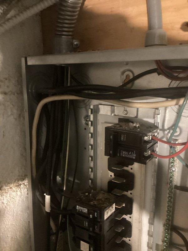 Conducted comprehensive on-site evaluation for 400 amp electrical panel upgrade. Assessed existing electrical distribution system including current panel configuration, circuit breaker arrangement, wire routing, and grounding infrastructure. Documented existing conditions showing dual-panel setup with circuit breakers, ground bar assembly, and associated conduit runs in utility space with concrete block wall construction. Photographed panel internals, wire connections, flexible metal conduit pathways, and auxiliary electrical components including junction boxes and control devices. Provided detailed technical assessment and prepared estimate for panel upgrade specifications. Conducted comprehensive on-site evaluation for 400 amp electrical panel upgrade. Assessed existing electrical distribution system including current panel configuration, circuit breaker arrangement, wire routing, and grounding infrastructure. Documented existing conditions showing dual-panel setup with circuit breakers, ground bar assembly, and associated conduit runs in utility space with concrete block wall construction. Photographed panel internals, wire connections, flexible metal conduit pathways, and auxiliary electrical components including junction boxes and control devices. Provided detailed technical assessment and prepared estimate for panel upgrade specifications.