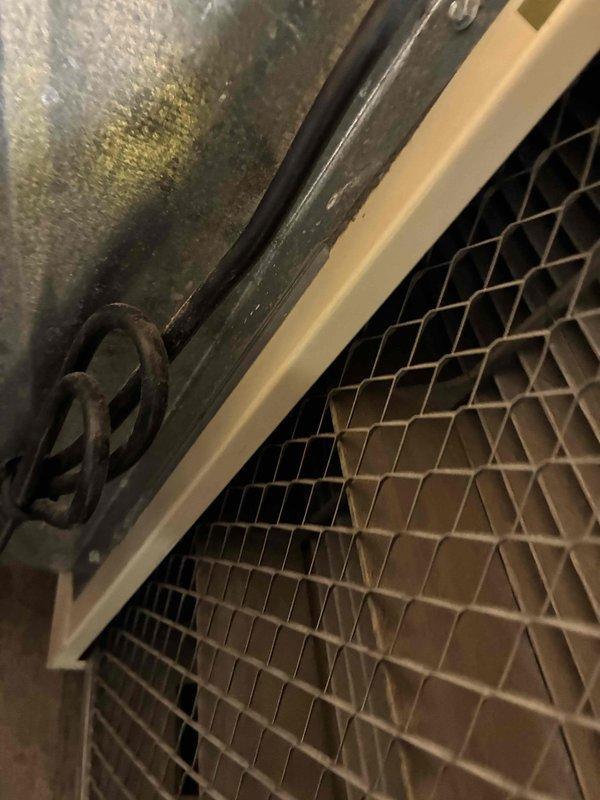 Performed seasonal heating system maintenance, including inspection of the furnace blower motor, wiring connections, and pressure switch, with all components found secure and free of visible damage, rust, or frost. Inspected the filtration media and found it heavily loaded with dust and debris; recommended replacement of the air scrubber and wheel to restore proper airflow and indoor air quality. Performed seasonal heating system maintenance, including inspection of the furnace blower motor, wiring connections, and pressure switch, with all components found secure and free of visible damage, rust, or frost. Inspected the filtration media and found it heavily loaded with dust and debris; recommended replacement of the air scrubber and wheel to restore proper airflow and indoor air quality.