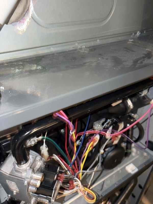Performed annual heating tune-up on a 9-year-old gas furnace, inspecting the gas valve assembly, wiring connections, and blower components. Found moisture and mineral residue on the interior panel, indicating condensation that should be monitored, and removed a heavily loaded pleated air filter that was restricting airflow and in need of replacement. Performed annual heating tune-up on a 9-year-old gas furnace, inspecting the gas valve assembly, wiring connections, and blower components. Found moisture and mineral residue on the interior panel, indicating condensation that should be monitored, and removed a heavily loaded pleated air filter that was restricting airflow and in need of replacement.