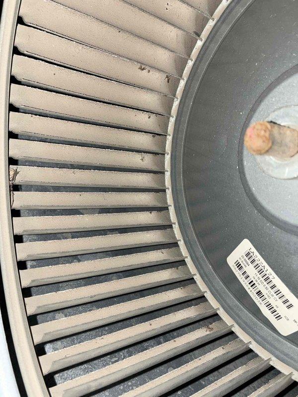 Performed a heating system tune-up, including inspection and cleaning of the blower assembly, where light dust and debris buildup was found on the blower wheel blades with no cracking, rust, or damage. Inspected the cabinet interior and noted staining and crusty residue around a brass fitting in the base pan, indicating possible past moisture or sealant leakage that should be monitored. Performed a heating system tune-up, including inspection and cleaning of the blower assembly, where light dust and debris buildup was found on the blower wheel blades with no cracking, rust, or damage. Inspected the cabinet interior and noted staining and crusty residue around a brass fitting in the base pan, indicating possible past moisture or sealant leakage that should be monitored.