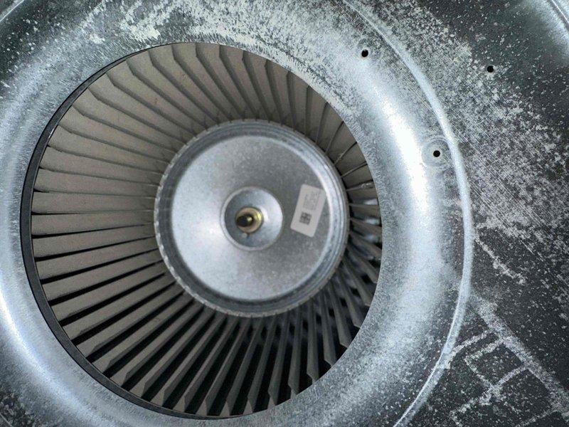 Performed annual heating tune-up on a Trane XR95 high-efficiency gas furnace, including inspection of the cabinet, PVC intake/exhaust piping, and controls. Accessed and inspected the blower assembly, where light dust accumulation was noted on the galvanized blower wheel and housing, and cleaned the components to restore proper airflow. Verified the system was operating normally upon completion. Performed annual heating tune-up on a Trane XR95 high-efficiency gas furnace, including inspection of the cabinet, PVC intake/exhaust piping, and controls. Accessed and inspected the blower assembly, where light dust accumulation was noted on the galvanized blower wheel and housing, and cleaned the components to restore proper airflow. Verified the system was operating normally upon completion.