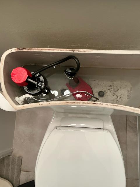 Toilet tank interior showing fill valve, flapper, and water level, illustrating plumbing maintenance issue related to toilet functionality.