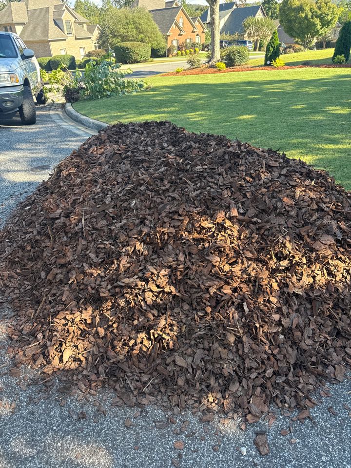 Large nugget mulch Large nugget mulch