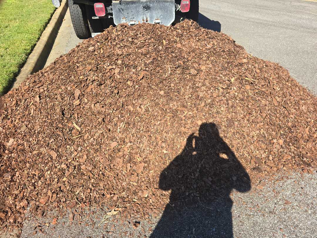 Mini Nuggetts Delivery Mini Nuggetts Delivery