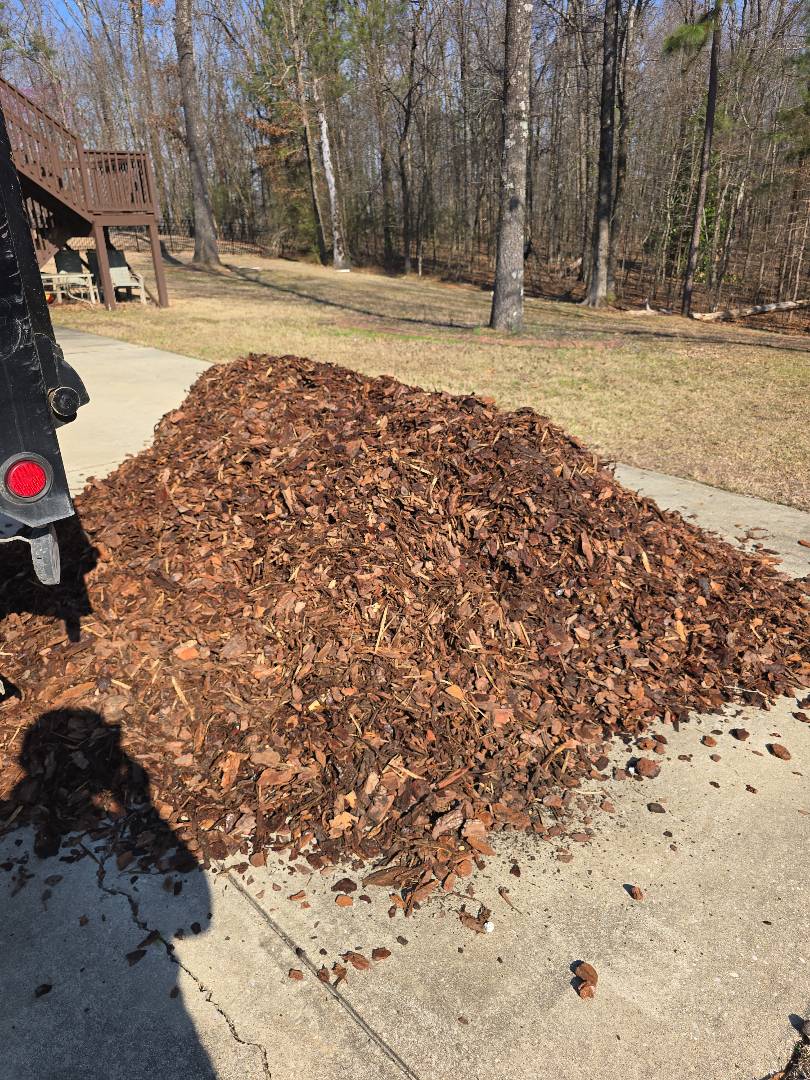 Large Pine Nugget Delivery