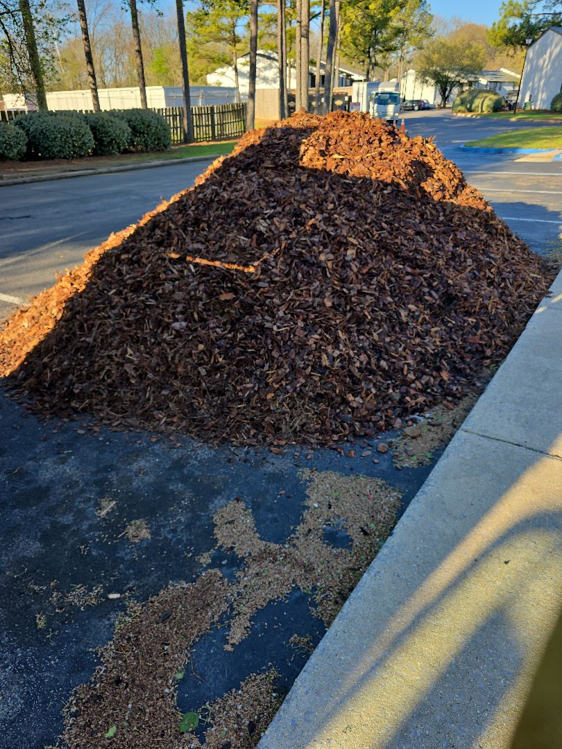 Large Pine Nuggets Delivery