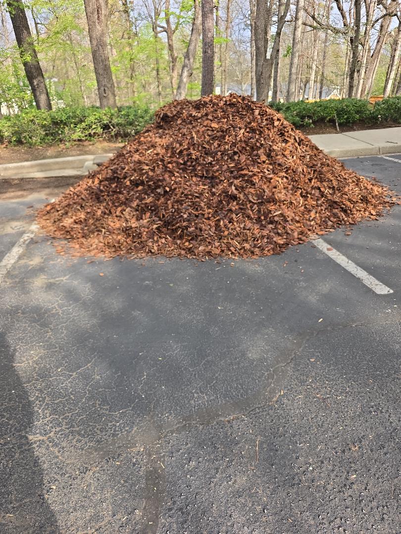 Large Pine Nuggets Delivery