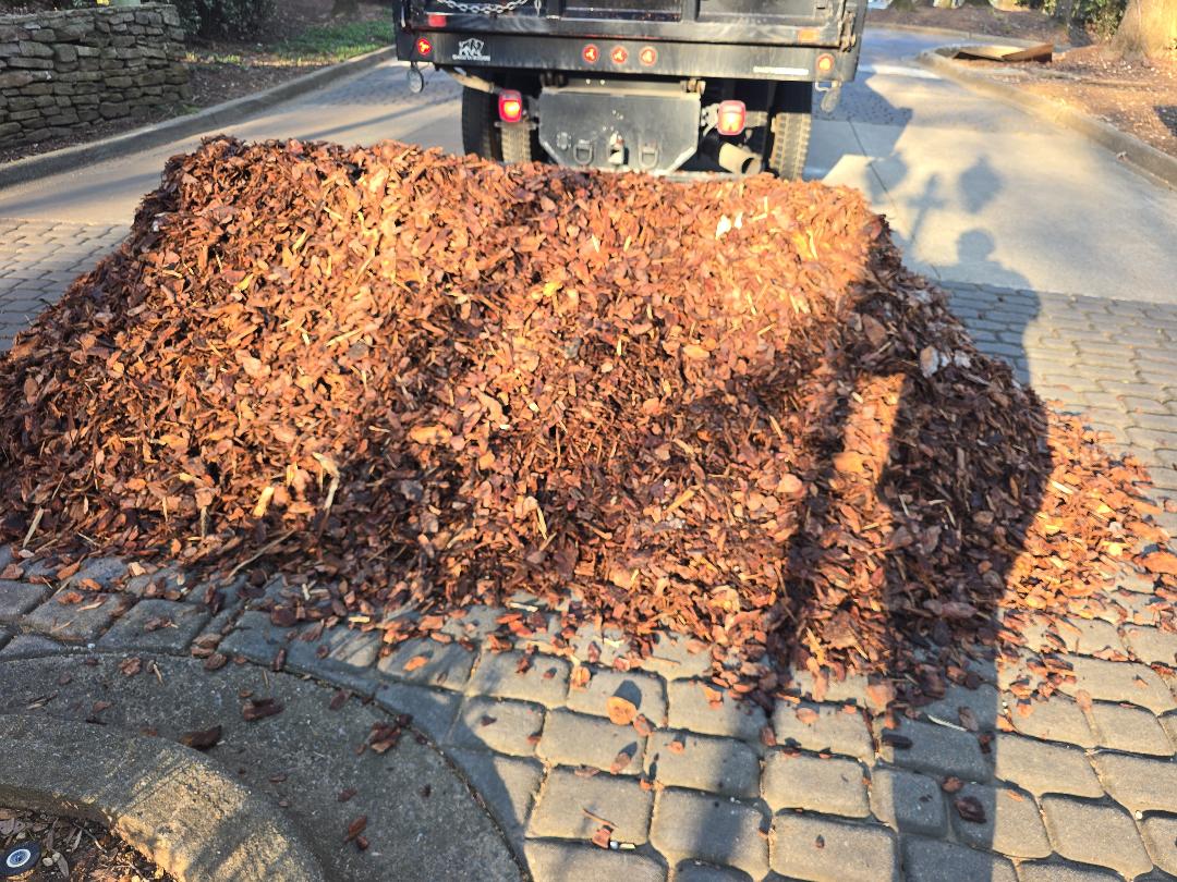 Pine Nuggets Delivery