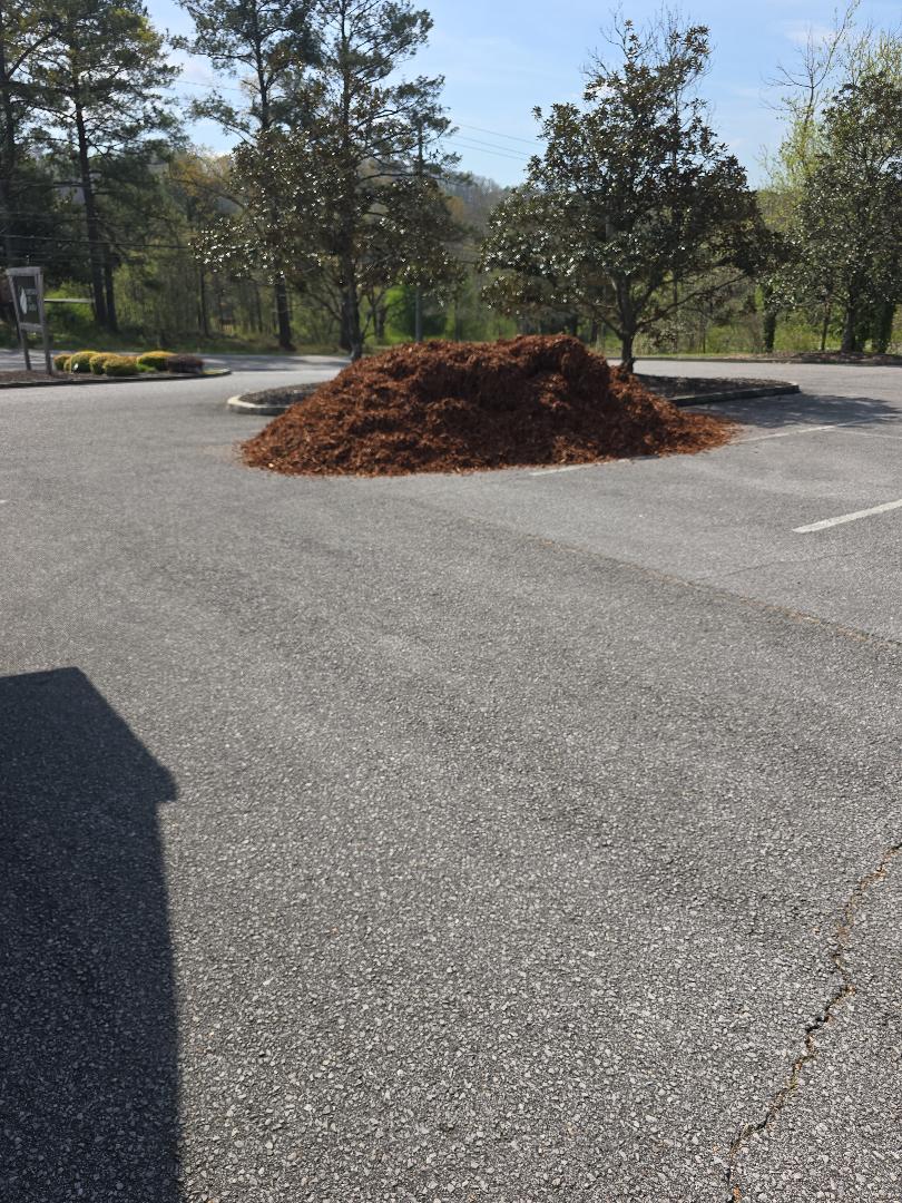 Pine Mulch Delivery