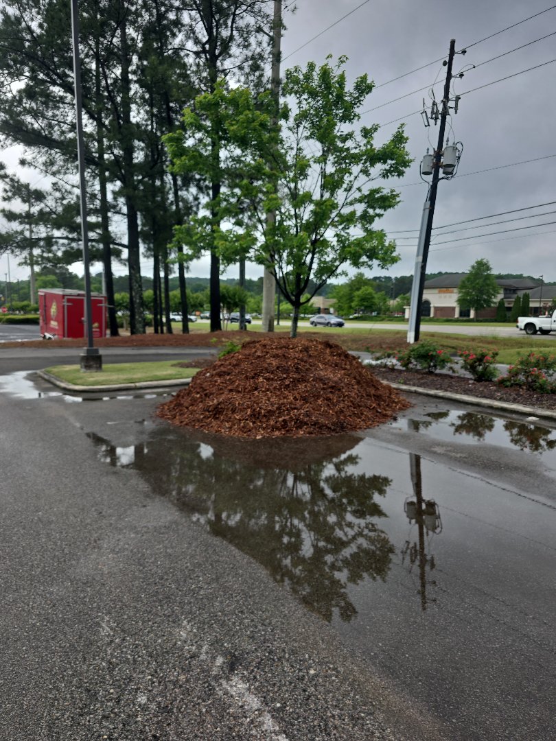 Pine Mulch Delivery