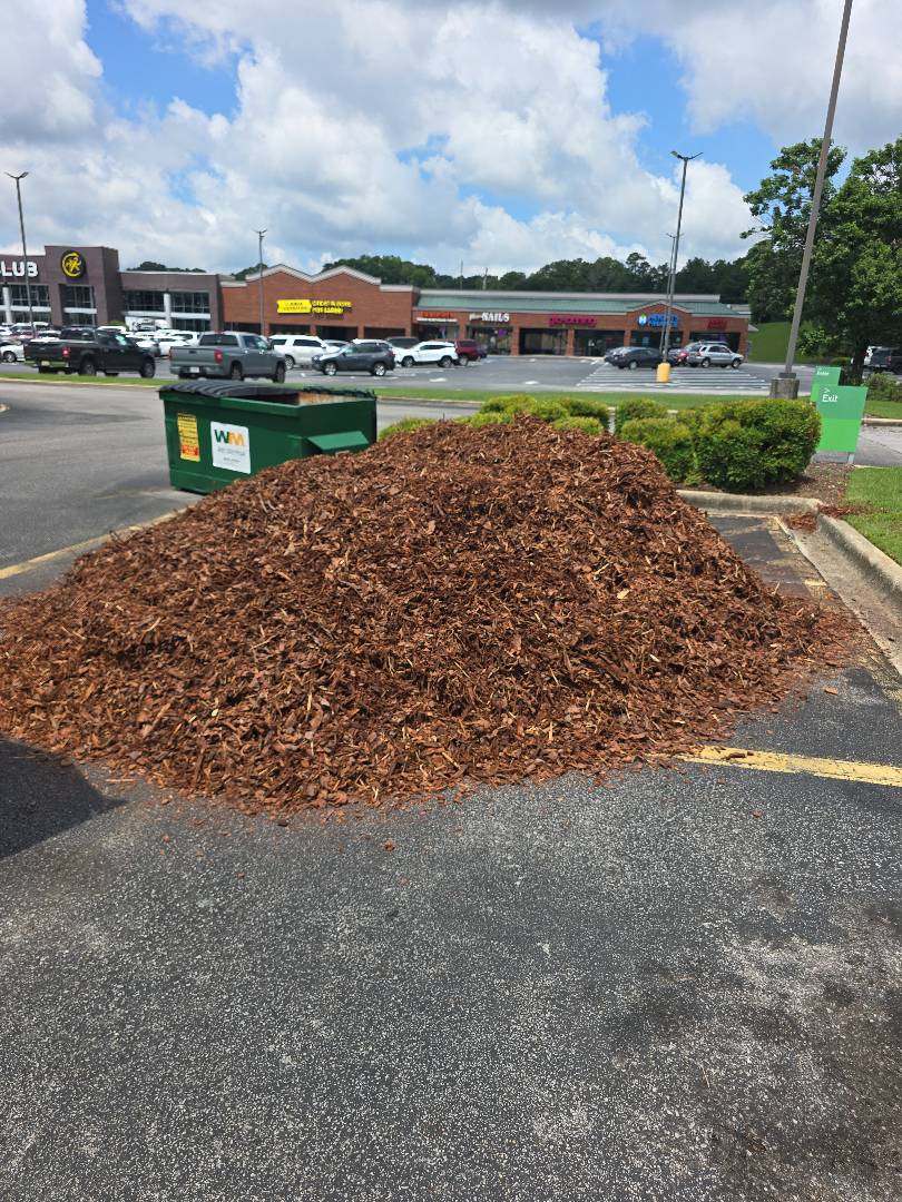 Pine Mulch