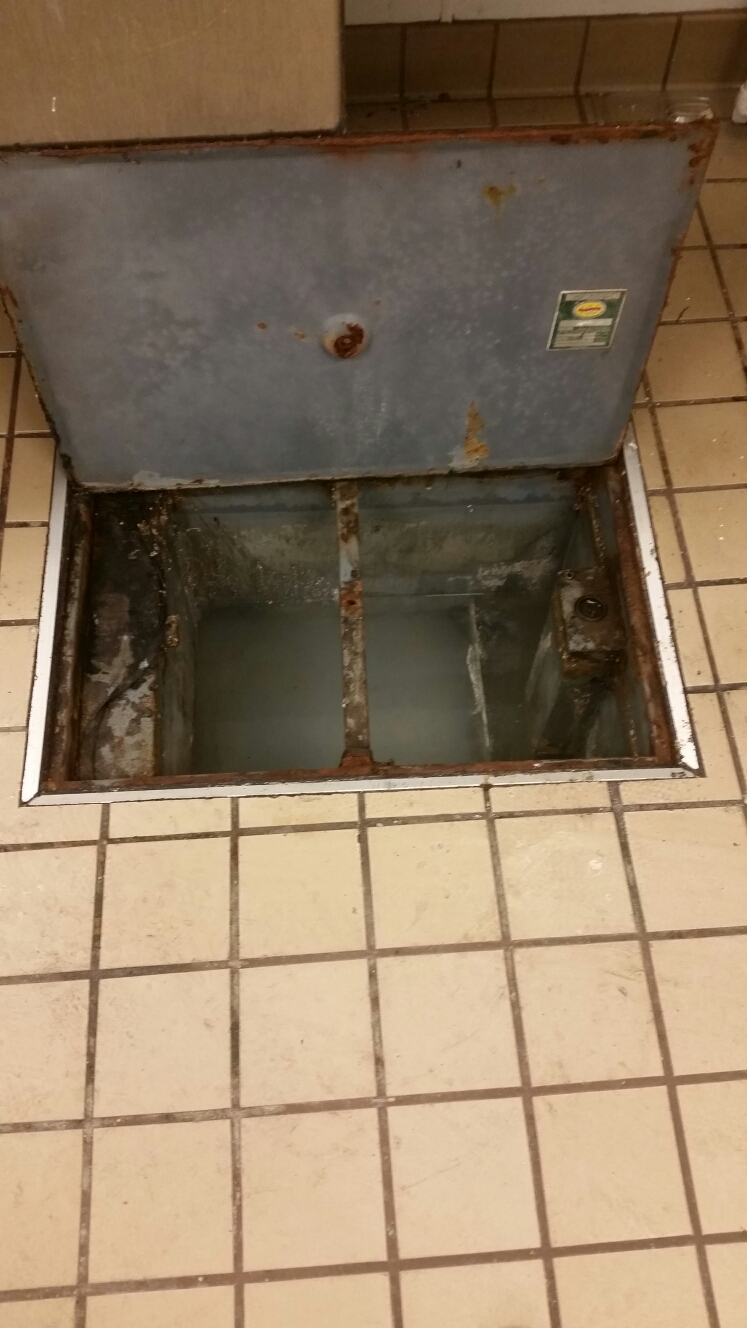Pumped out grease trap, checked plumbing drains