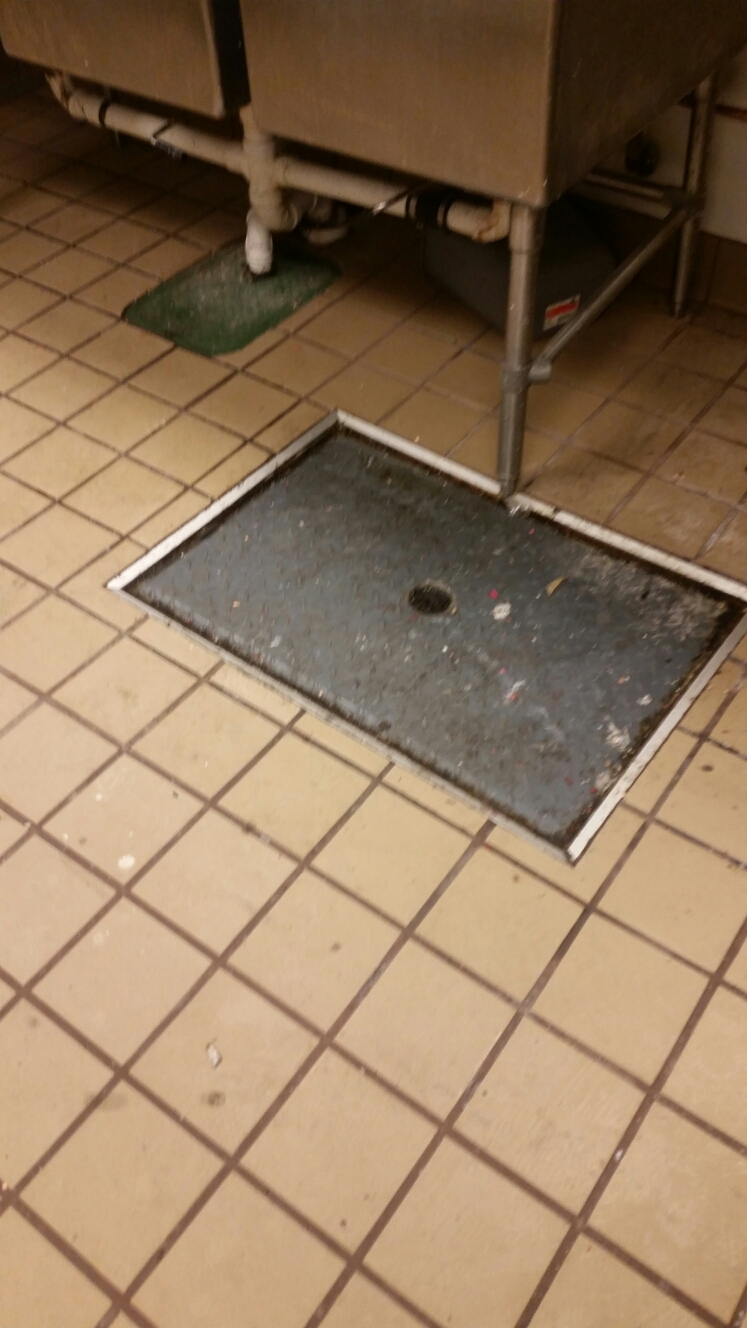 Pumped out grease trap