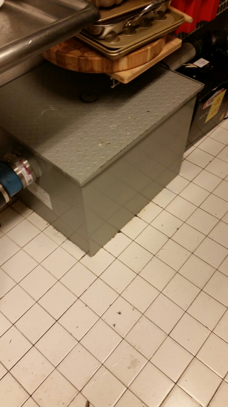 Pumped out grease trap