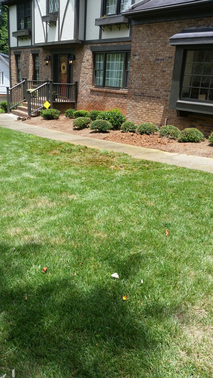 Repaired Broken water line