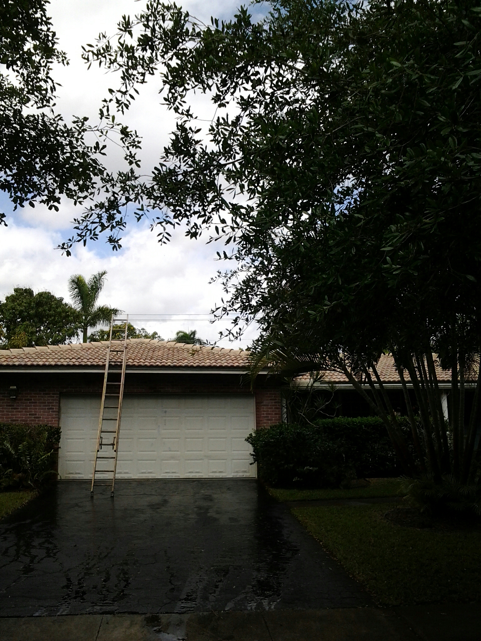 Clean edges and roofacide roof Clean edges and roofacide roof
