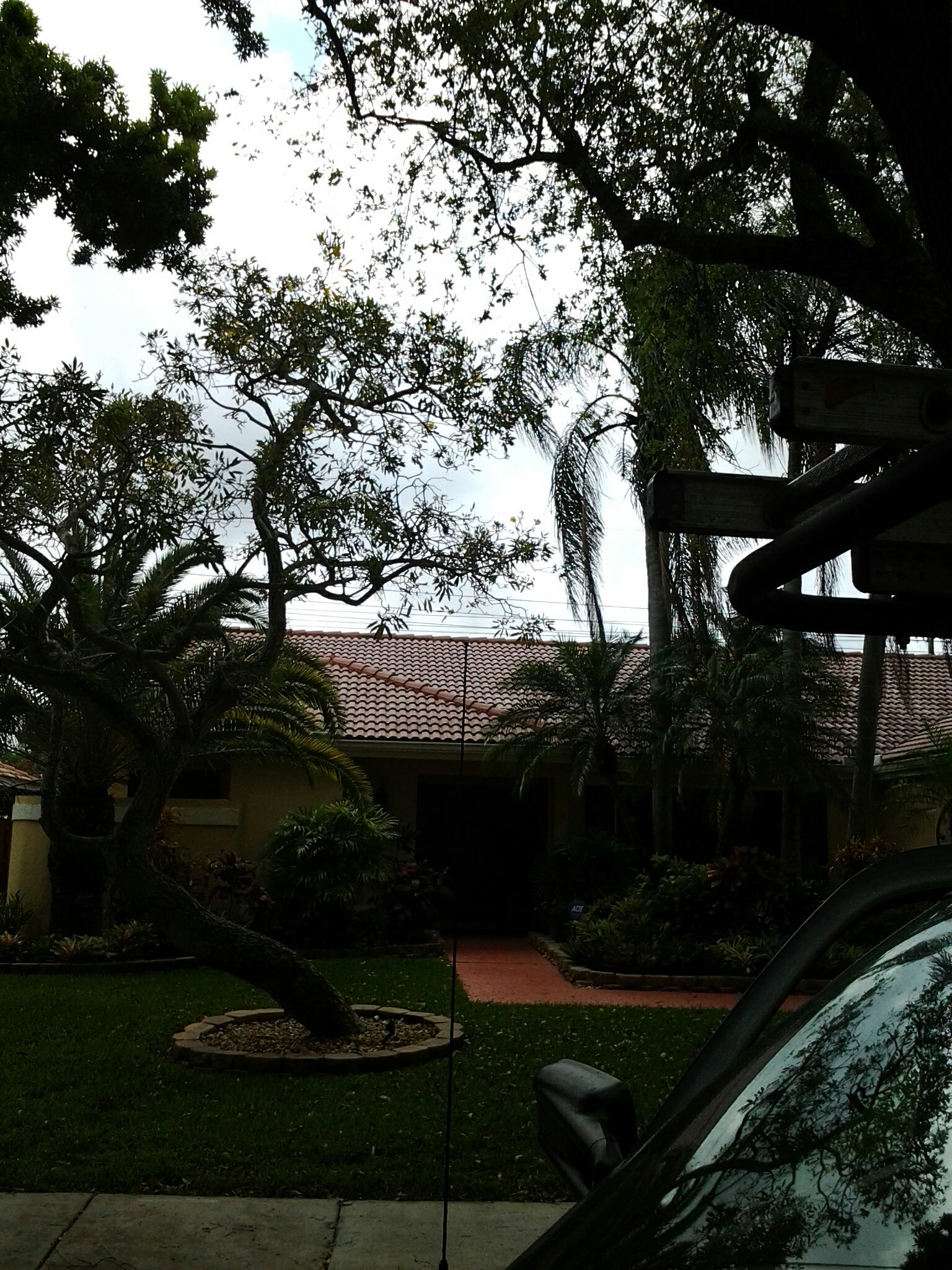 Roofacide roof Roofacide roof