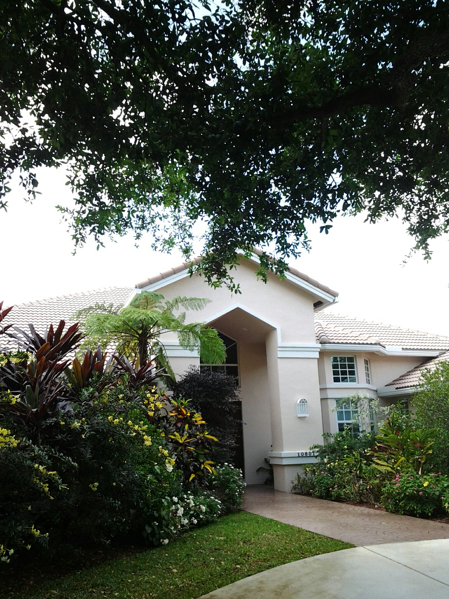 Roofacide roof Roofacide roof