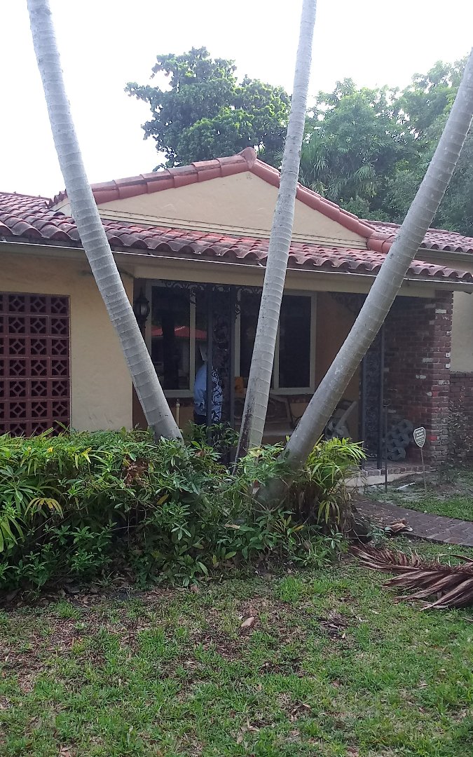Miami Shores, FL - Repair roof ,israel & alexis Miami Shores, FL - Repair roof ,israel & alexis