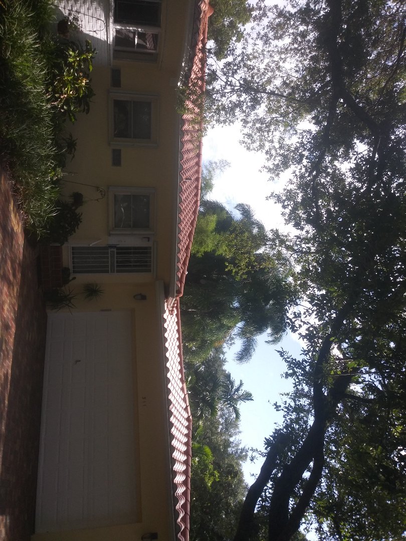 Miami Shores, FL - Clean edges and Roofacide roof Miami Shores, FL - Clean edges and Roofacide roof