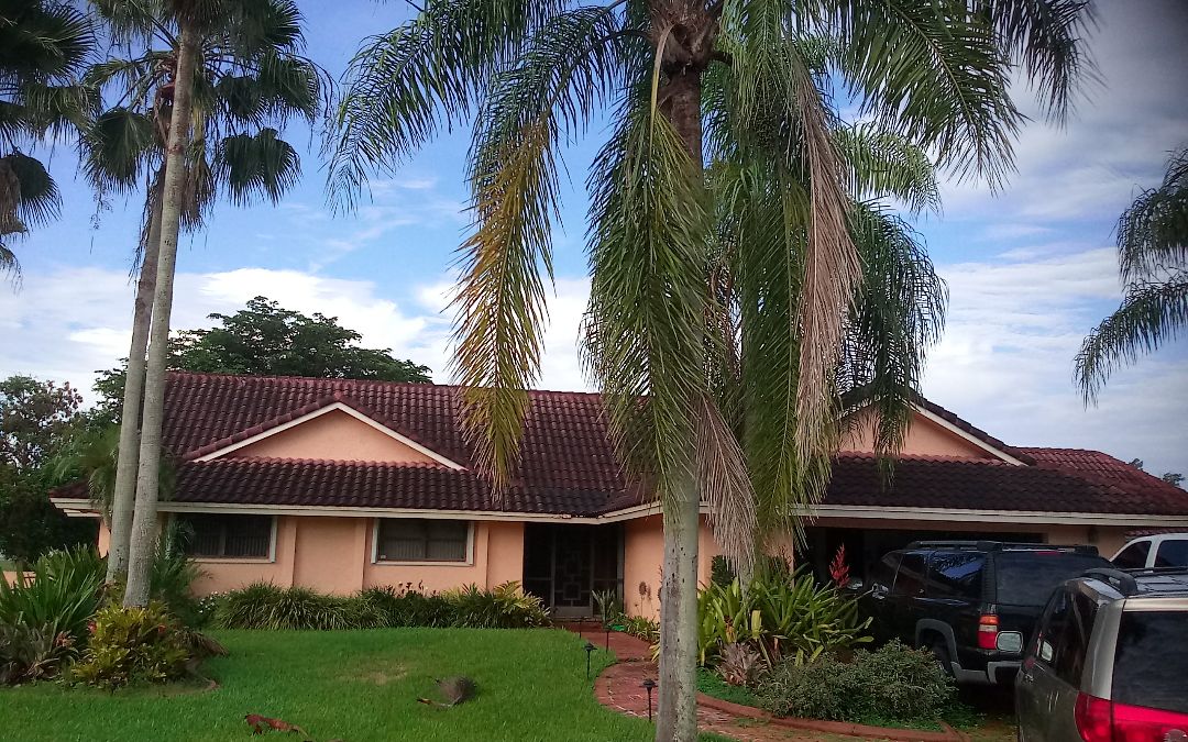 Parkland, FL - Roof repair in Davie by Alexis,Israel,Regis,Ron and Duane from Earl W.Johnston Roofing Parkland, FL - Roof repair in Davie by Alexis,Israel,Regis,Ron and Duane from Earl W.Johnston Roofing