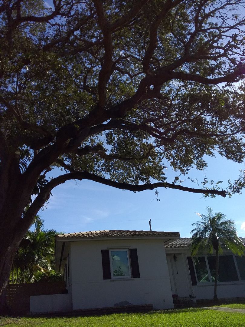 Miami Shores, FL - A finished roof repair in Miami Shores by Duane and Oliver from Earl W Johnston Roofing Miami Shores, FL - A finished roof repair in Miami Shores by Duane and Oliver from Earl W Johnston Roofing
