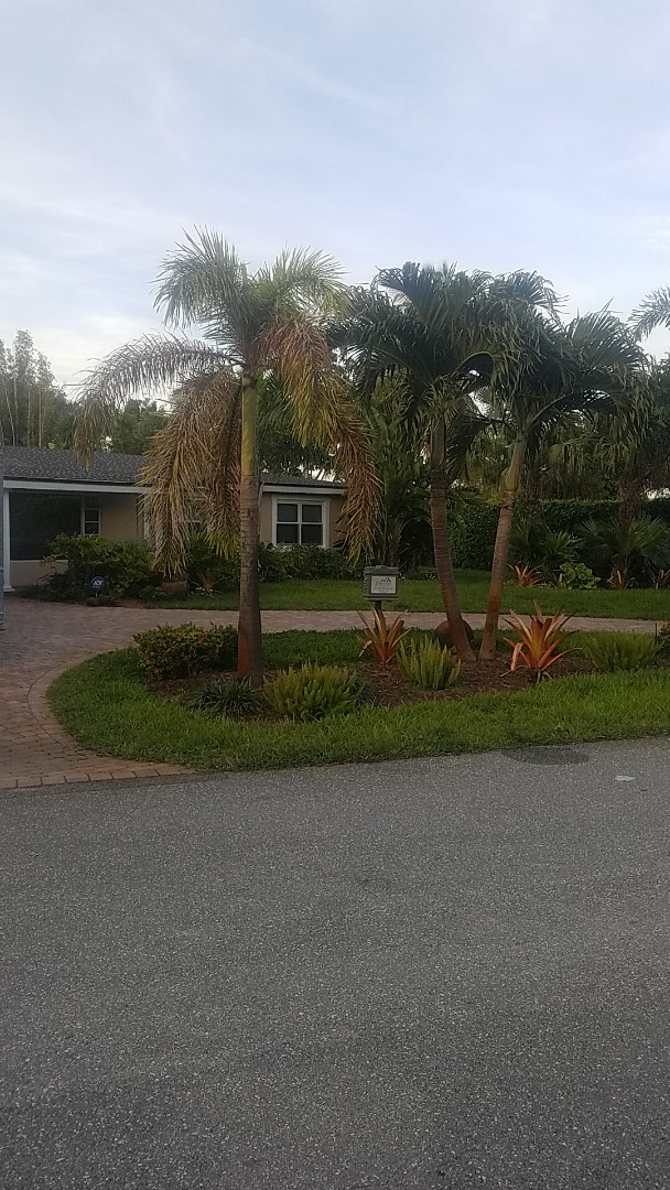 Oakland Park, FL - Shingle roof replacement tearoff by Aj from Earl Johnston Roofing Company Oakland Park, FL - Shingle roof replacement tearoff by Aj from Earl Johnston Roofing Company