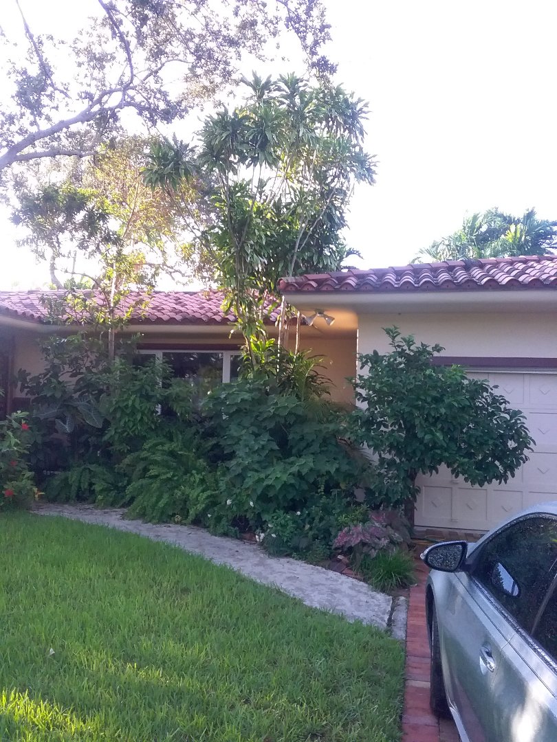 Miami Shores, FL - REPAIR tiles roof by Oliver and Alexis from early w Johnson roofing Miami Shores, FL - REPAIR tiles roof by Oliver and Alexis from early w Johnson roofing