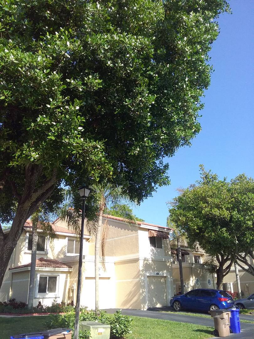 Deerfield Beach, FL - Roof repair in Deerfield Beach by Duane and Israel from Earl W Johnston Roofing Deerfield Beach, FL - Roof repair in Deerfield Beach by Duane and Israel from Earl W Johnston Roofing