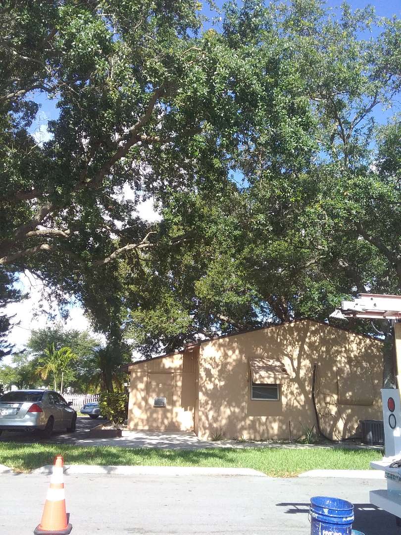 Roof repair in Hollywood by Duane and Israel from Earl W Johnston Roofing Roof repair in Hollywood by Duane and Israel from Earl W Johnston Roofing