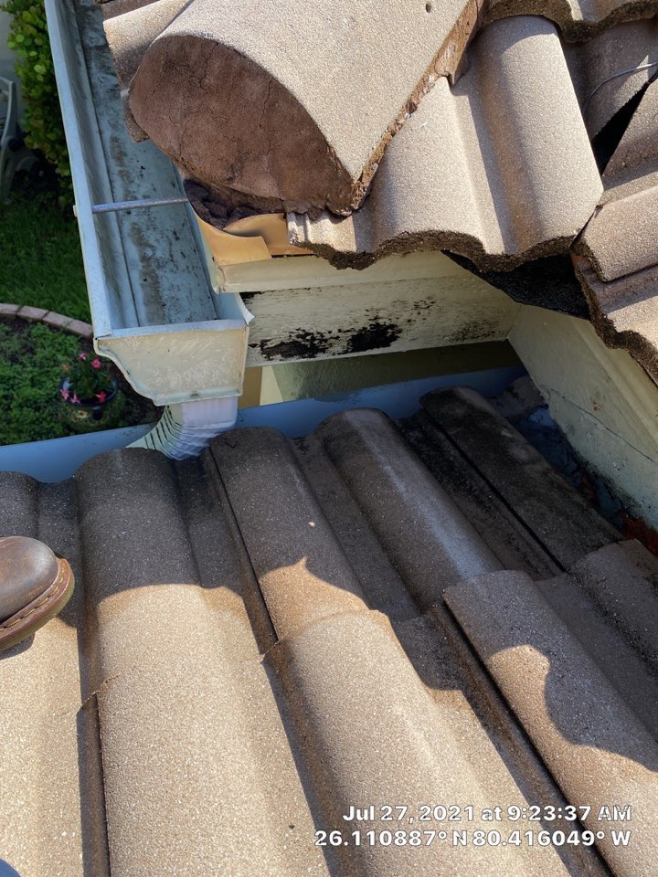 Tile roof leak repair estimate in Weston, FL by Mike Wilde and Earl Johnston Roofing Tile roof leak repair estimate in Weston, FL by Mike Wilde and Earl Johnston Roofing