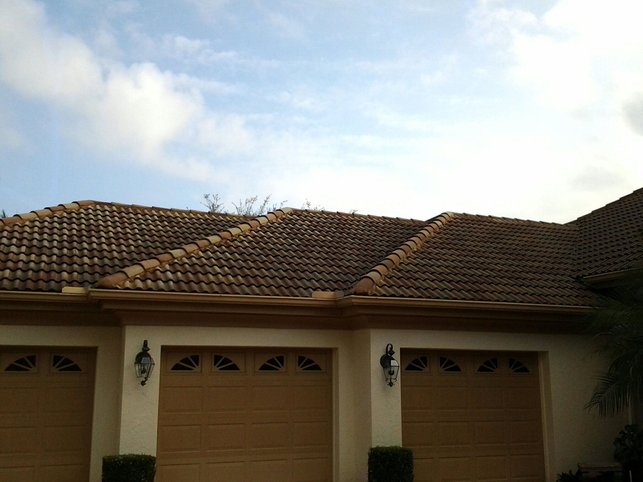 West Palm Beach, FL - Roof a cide in West Palm Beach Duane & Gary Earl W.Johnston Roofing Roof A Cide takes 100 % control of mold, mildew, fungus and algae taking over your roof. West Palm Beach, FL - Roof a cide in West Palm Beach Duane & Gary Earl W.Johnston Roofing Roof A Cide takes 100 % control of mold, mildew, fungus and algae taking over your roof.